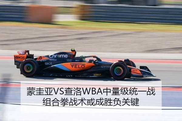 蒙圭亚VS查洛WBA中量级统一战 组合拳战术或成胜负关键